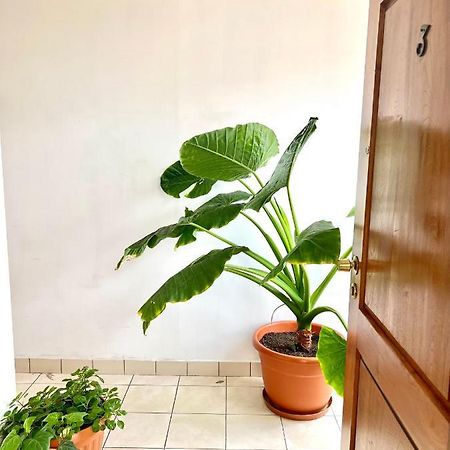 Urbano Hotel Tarija Kültér fotó